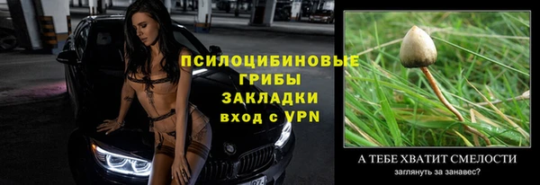 прущие грибы Абдулино