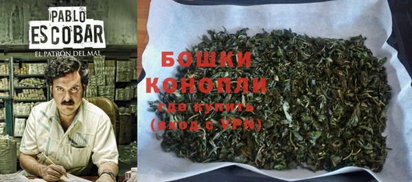 прущие грибы Абдулино