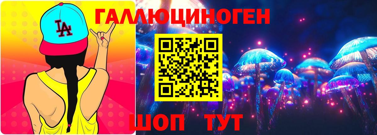 Псилоцибиновые грибы Psilocybine cubensis Таганрог