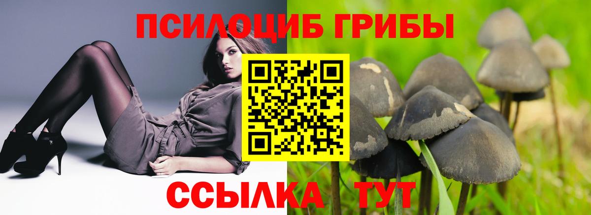 Таганрог  Псилоцибиновые грибы прущие грибы  Вход с VPN 